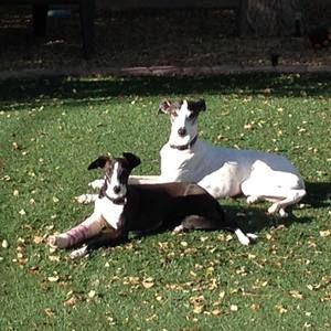 Meet your Posher, Darlene